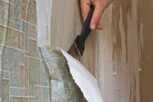 virginia wallpaper removal & installation